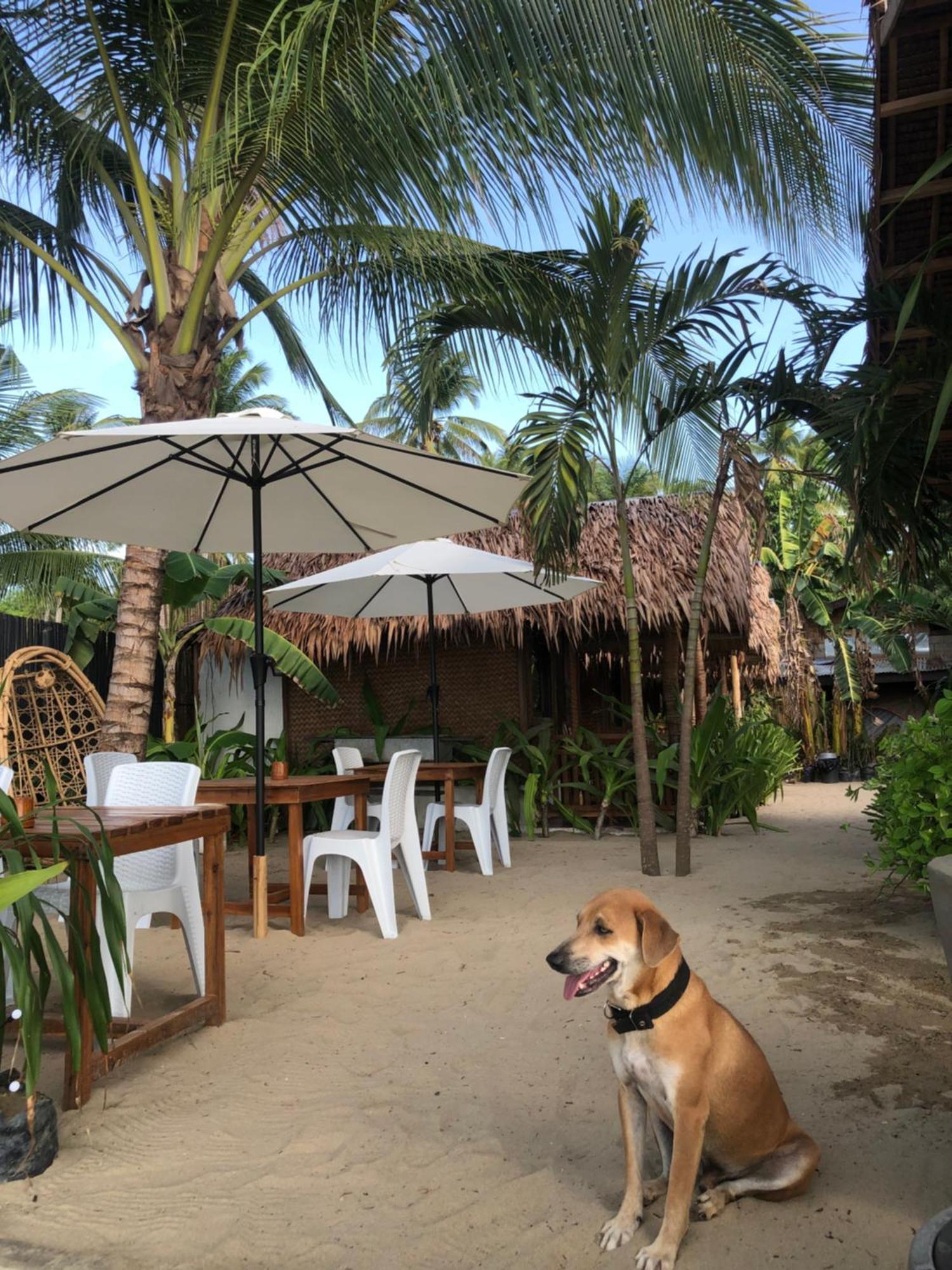 Zhaya'S Beach & Cottages El Nido Exterior photo